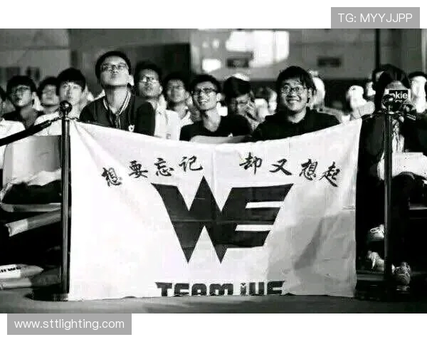 WE战队的辉煌征程与突破之路全景回顾