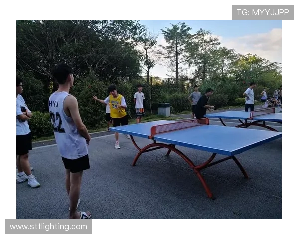 陈伟独家分享乒乓球技巧与心得助你提升球技的全面指南